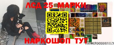 прущие грибы Тара