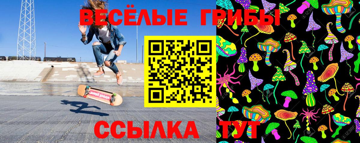 Псилоцибиновые грибы MAGIC MUSHROOMS Нефтекумск